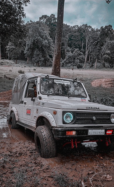 尽管伤病可 尽管伤病可