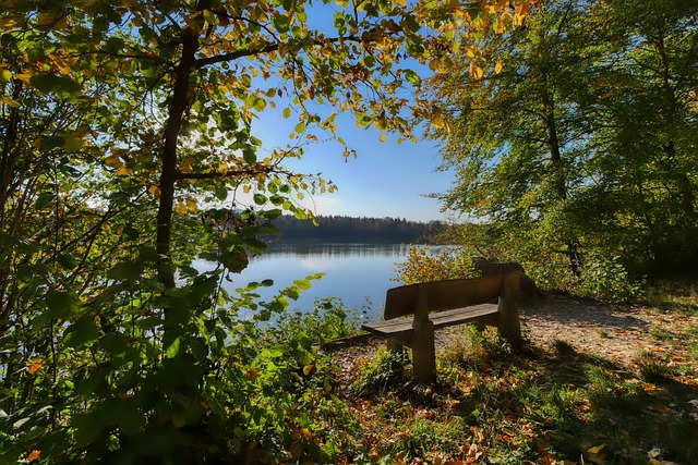 析的深入运 析的深入运